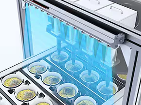 Eliminación de estática durante el transporte de vasos de fideos instantáneos con el ionizador SJ-Q